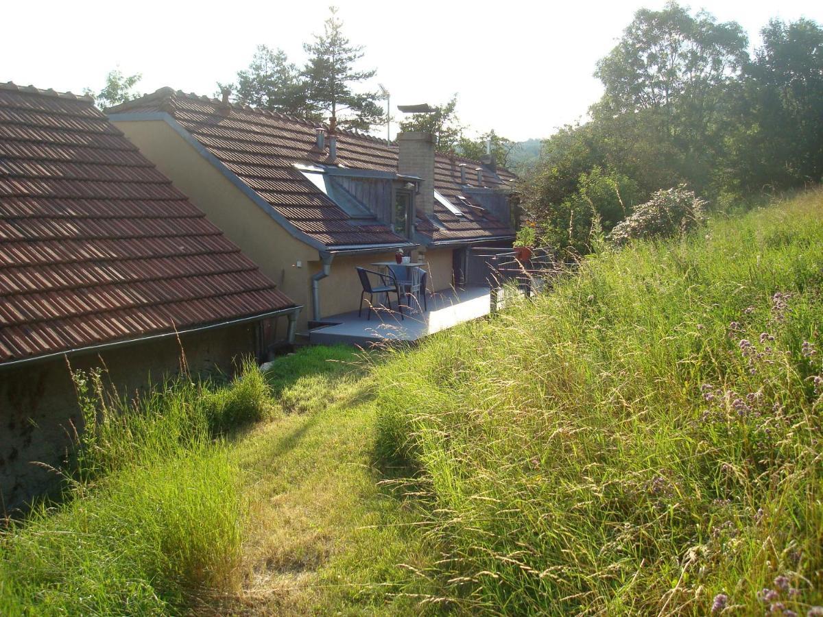Apartmán pod Velkou Amerikou Morina Exterior foto