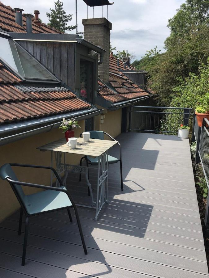 Apartmán pod Velkou Amerikou Morina Exterior foto