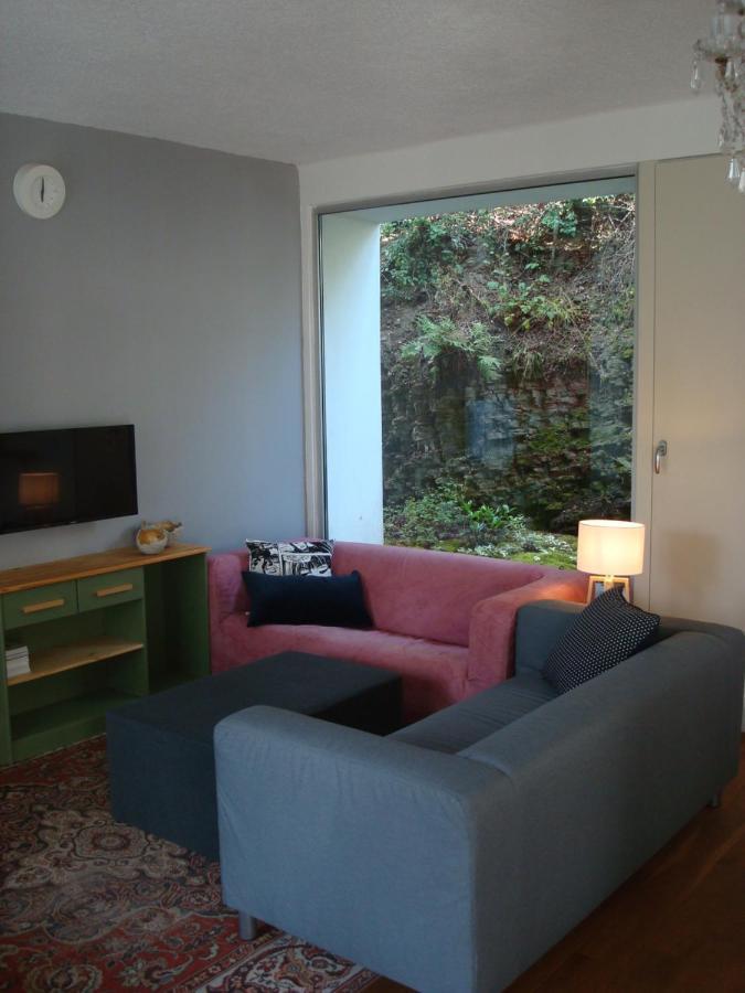 Apartmán pod Velkou Amerikou Morina Exterior foto